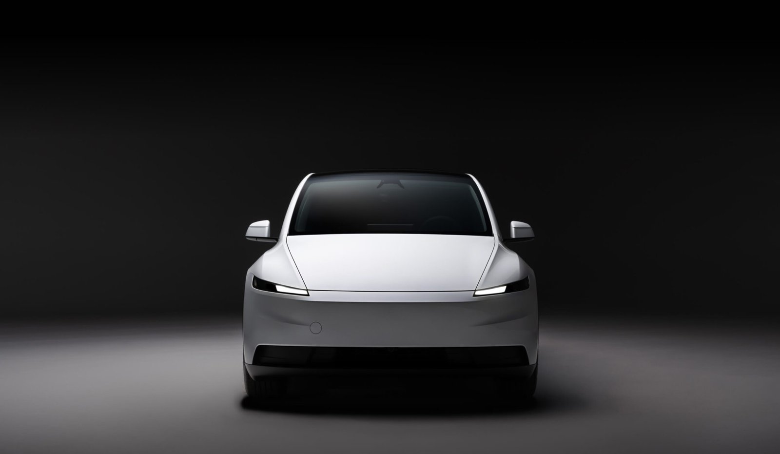 model y standard end desktop emea